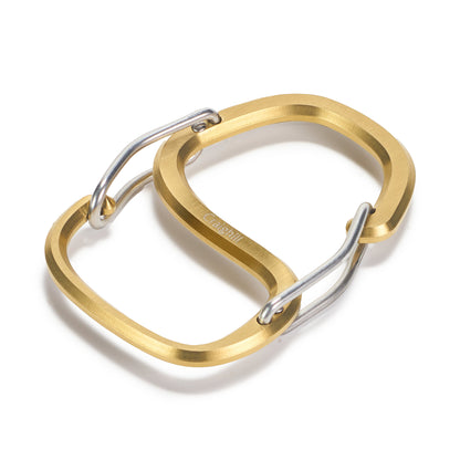 Coachwhip Carabiner